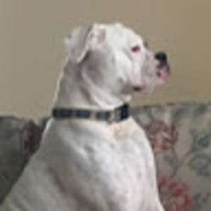 Meet your Posher, Fallon